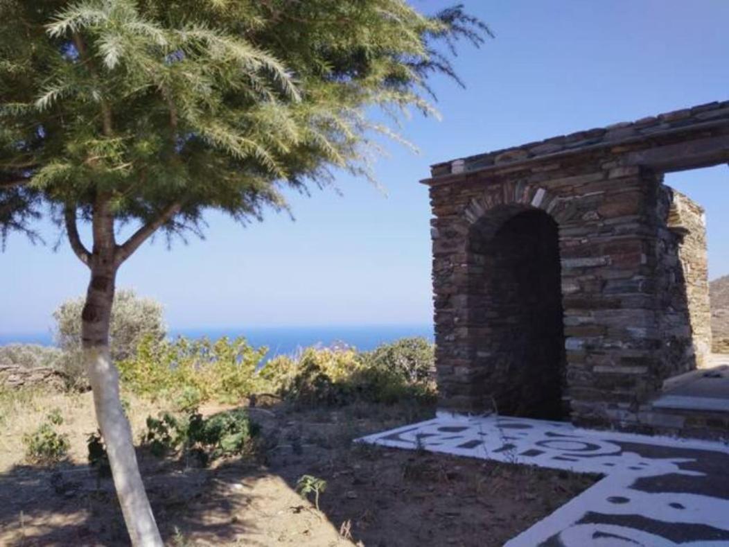 Andros Vineyard House With Sea View Appartement