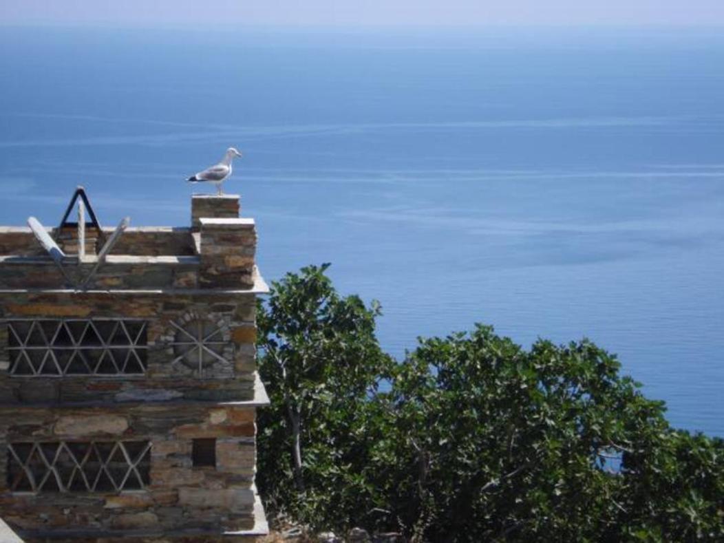 Andros Vineyard House With Sea View