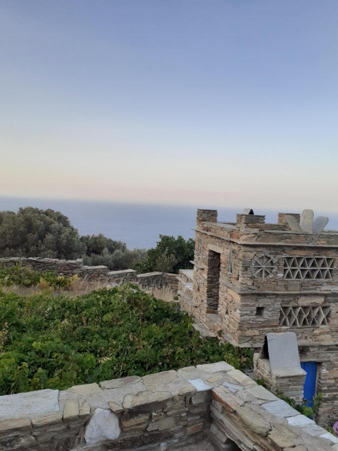 Appartement Andros Vineyard House With Sea View *
