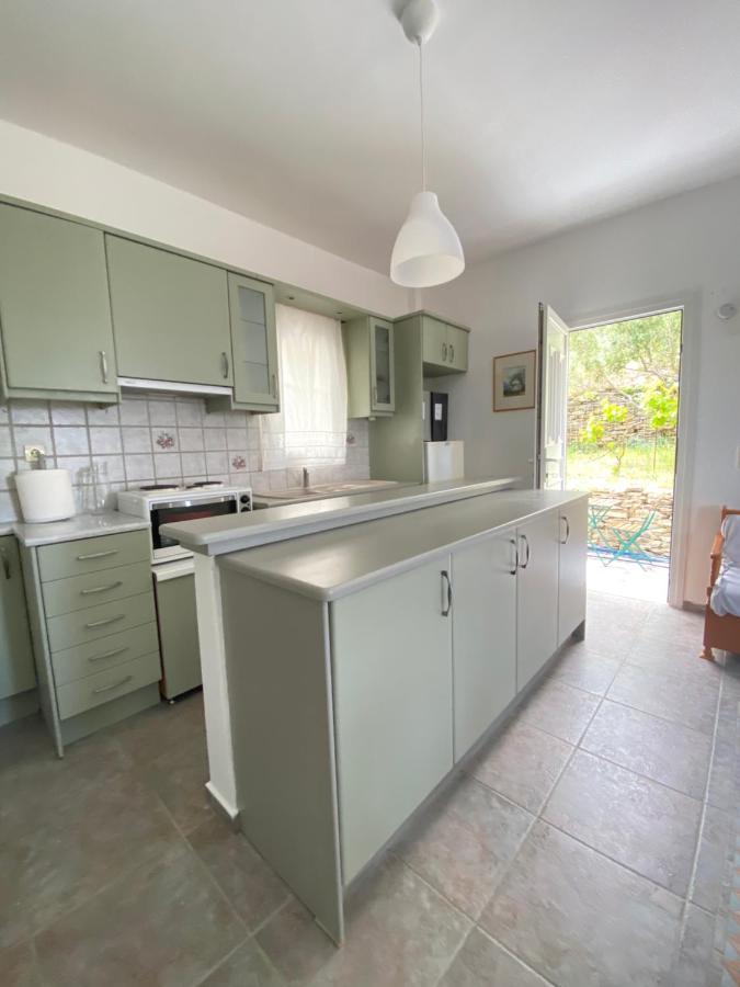 Andros Vineyard House With Sea View Appartement *