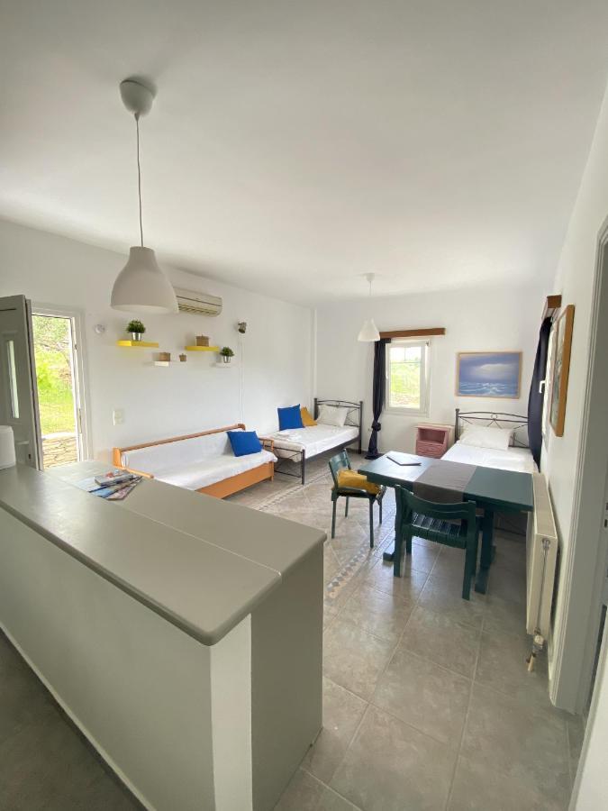 Andros Vineyard House With Sea View Sineti