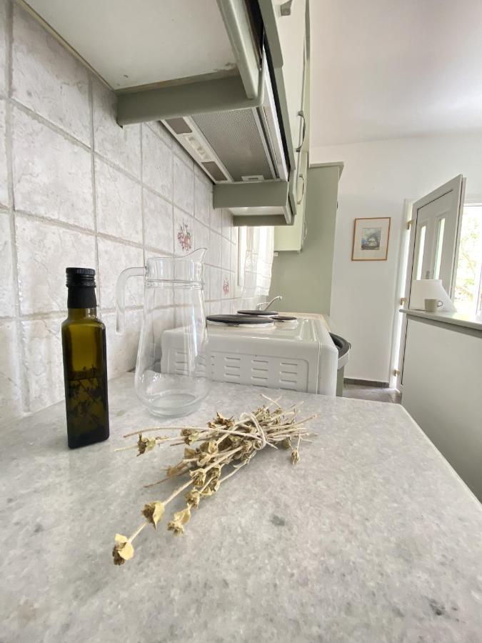 Andros Vineyard House With Sea View Appartement Sineti
