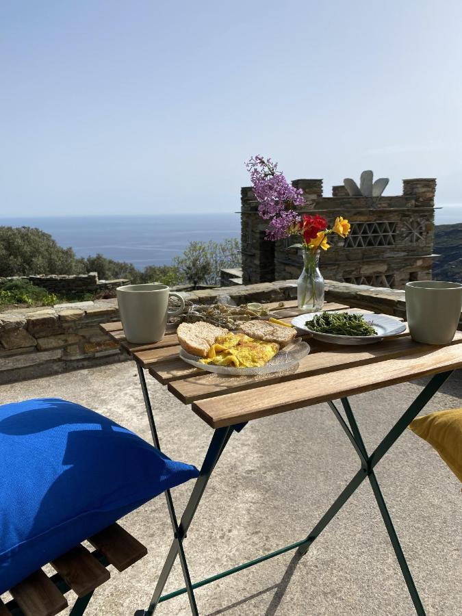 Andros Vineyard House With Sea View Appartement *