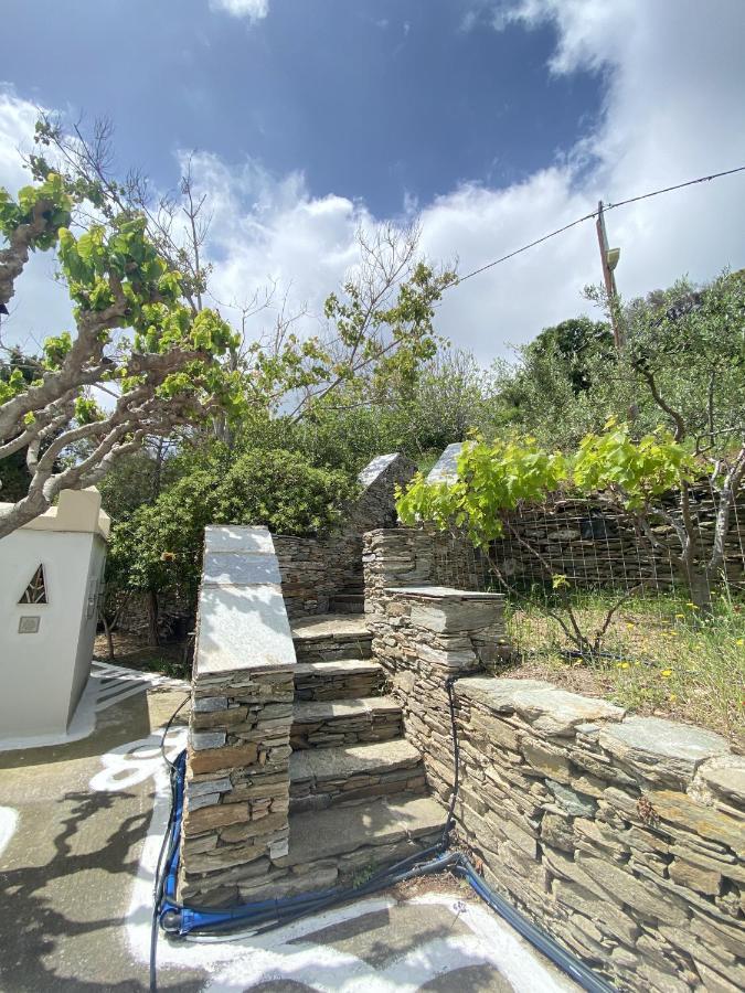 Andros Vineyard House With Sea View Appartement
