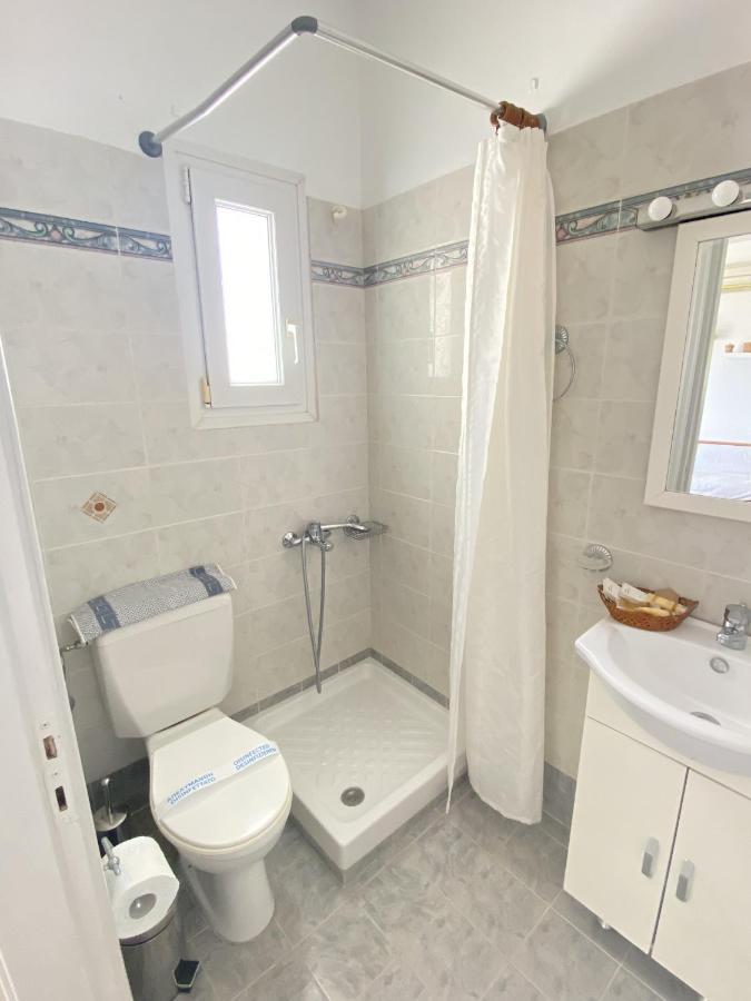 Andros Vineyard House With Sea View Sineti