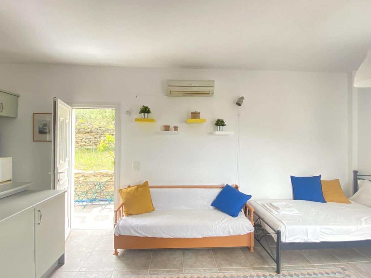 Andros Vineyard House With Sea View