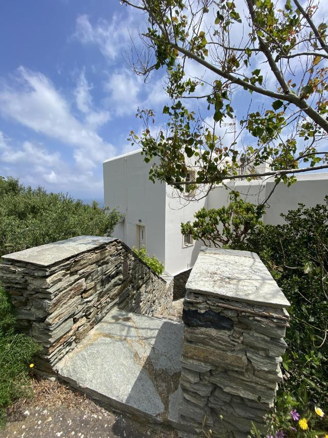 Andros Vineyard House With Sea View Sineti