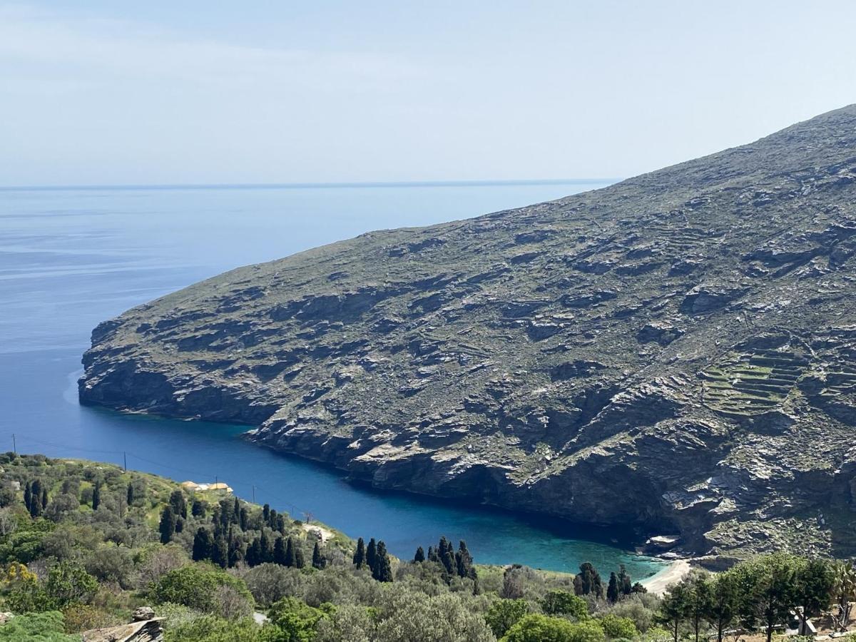 Appartement Andros Vineyard House With Sea View