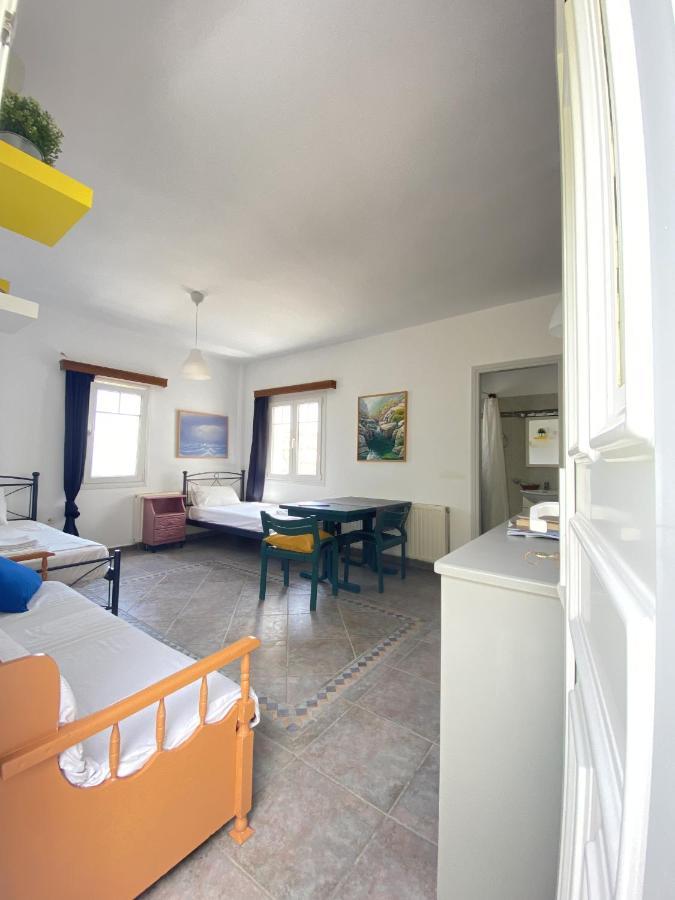 Andros Vineyard House With Sea View *