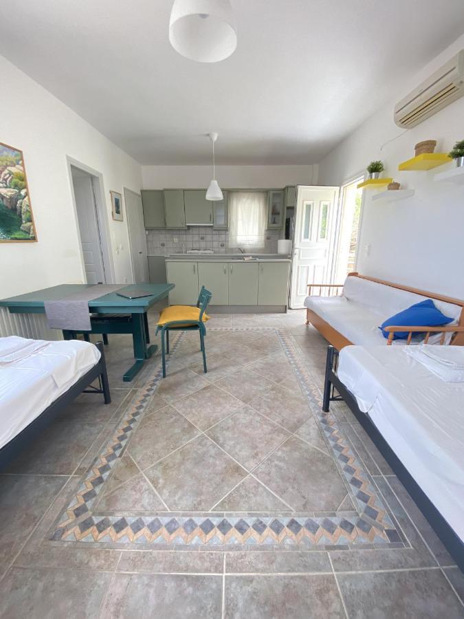 Appartement Andros Vineyard House With Sea View