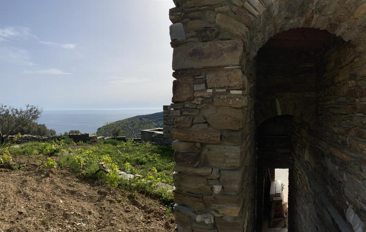 Andros Vineyard House With Sea View Sineti