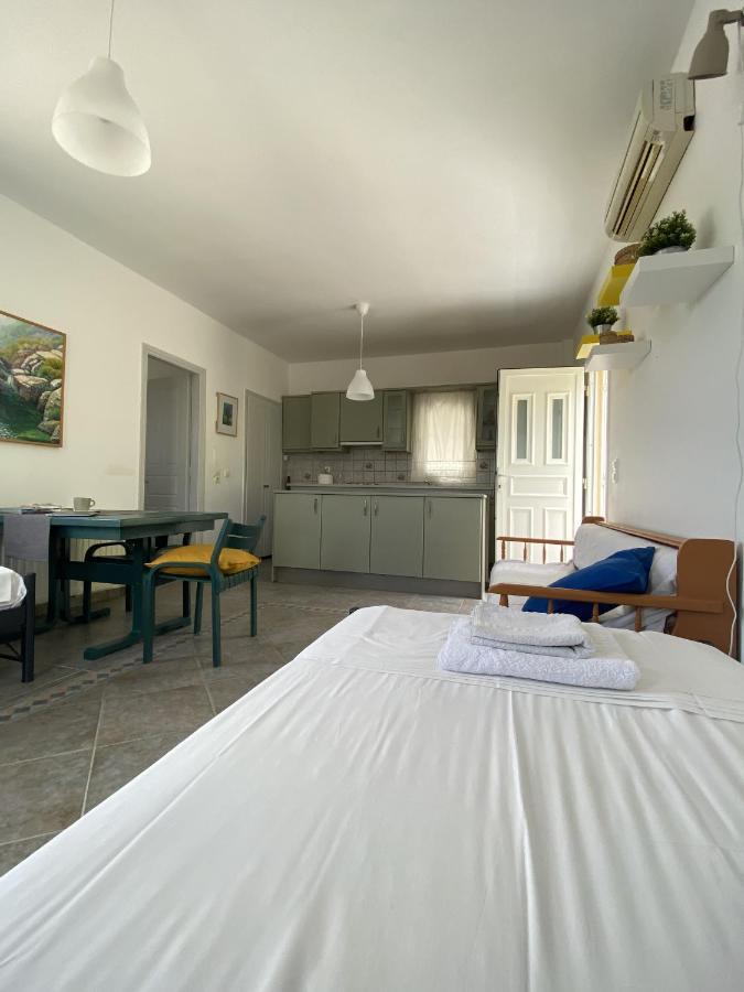 Andros Vineyard House With Sea View Appartement