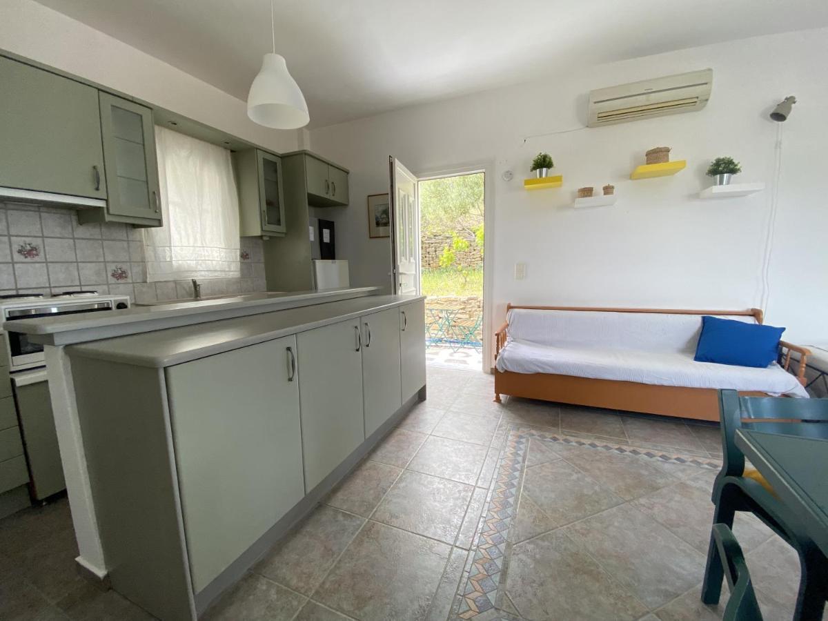 Andros Vineyard House With Sea View